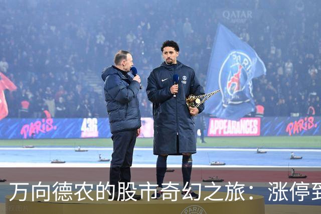 万向德农的股市奇幻之旅：涨停到底是喜是忧？