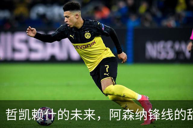 哲凯赖什的未来，阿森纳锋线的甜蜜纠结